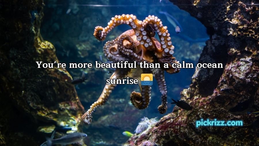 Octopus Pickup Lines