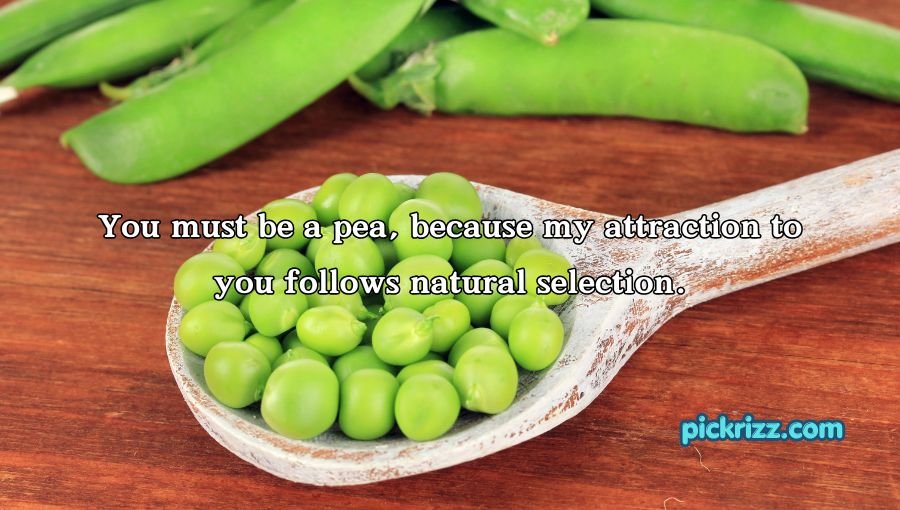 Pea Pickup Lines