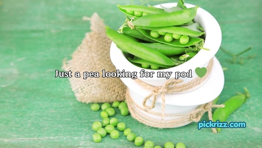 Pea Pickup Lines
