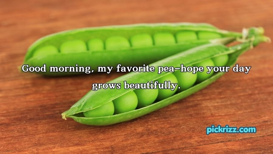 Pea Pickup Lines