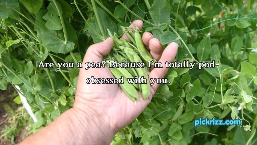 Pea Pickup Lines