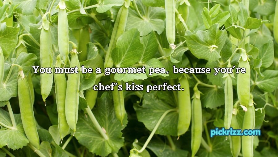 Pea Pickup Lines