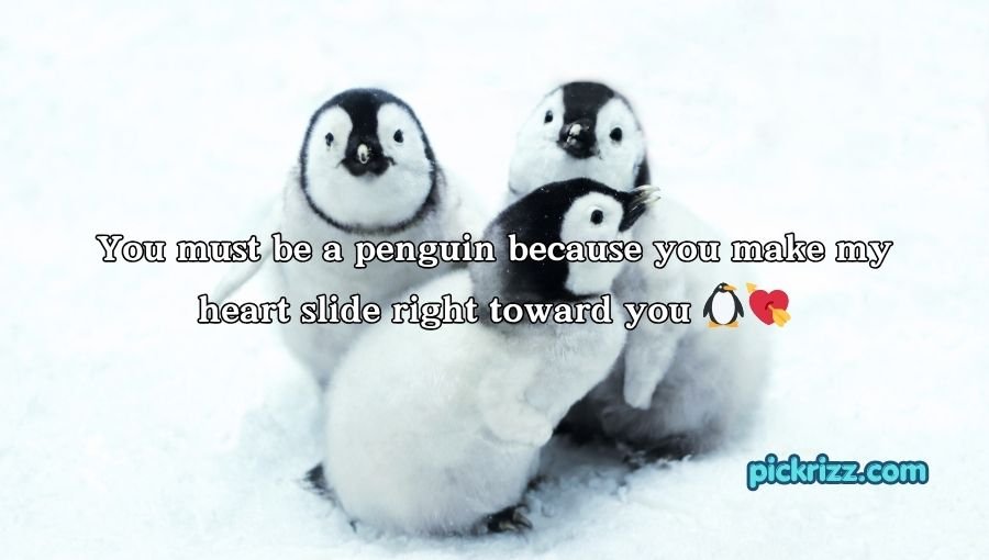 Penguin Pick Up Lines