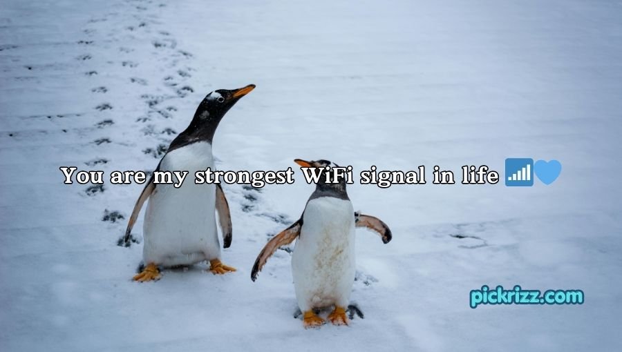 Penguin Pick Up Lines