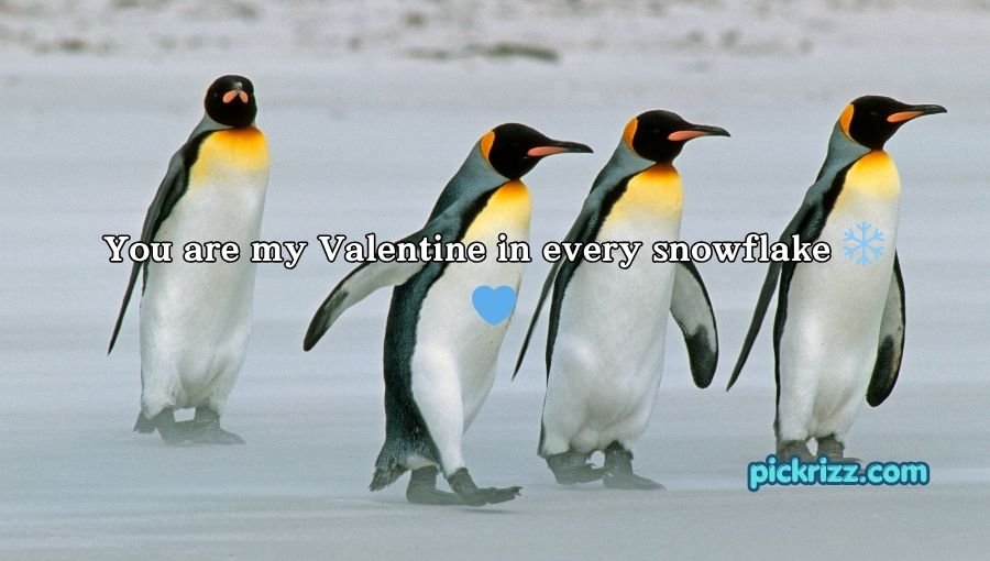 Penguin Pick Up Lines