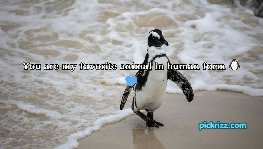 Penguin Pick Up Lines