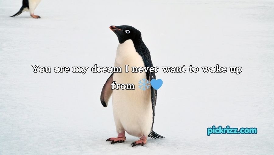 Penguin Pick Up Lines