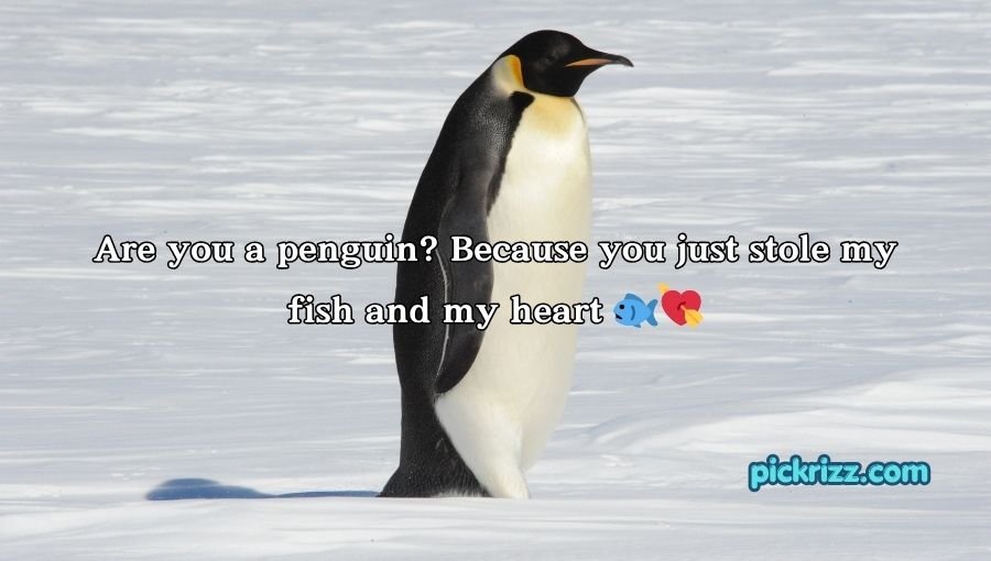 Penguin Pick Up Lines