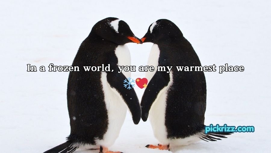 Penguin Pick Up Lines
