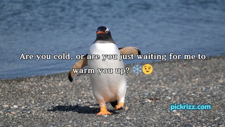 Penguin Pick Up Lines
