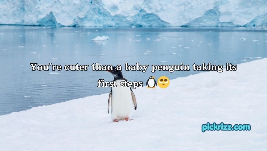 Penguin Pick Up Lines