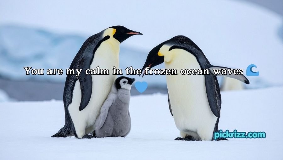Penguin Pick Up Lines