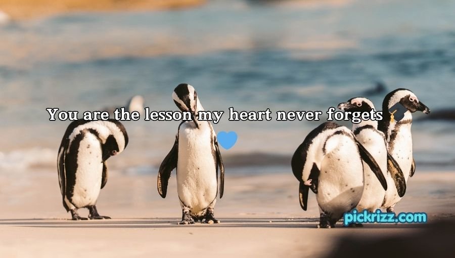 Penguin Pick Up Lines