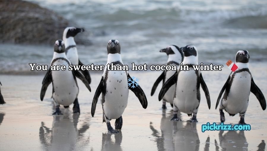 Penguin Pick Up Lines
