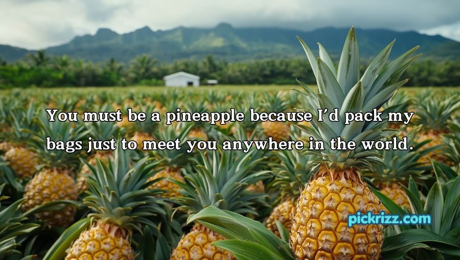 Pineapple Pick Up Lines