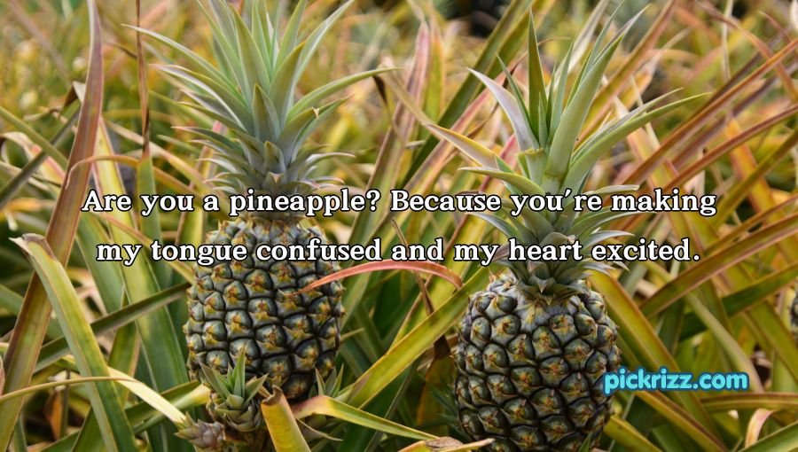 Pineapple Pick Up Lines