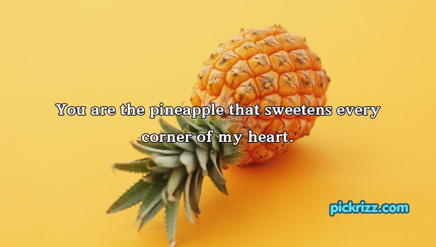 Pineapple Pick Up Lines