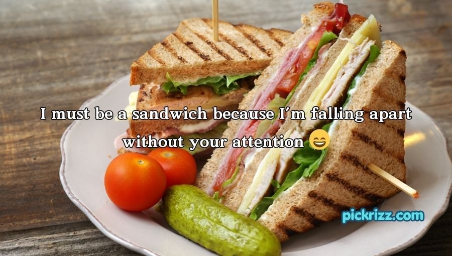 Sandwich Pickup Lines