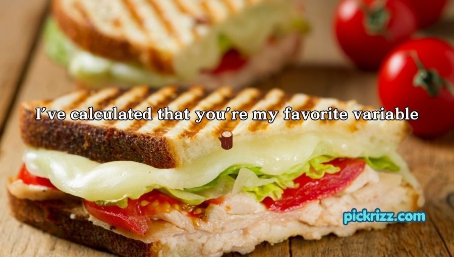 Sandwich Pickup Lines