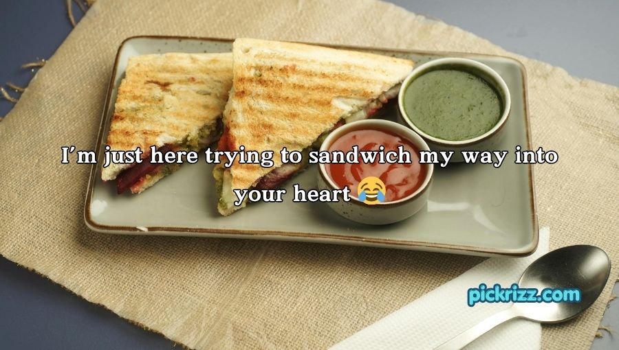 Sandwich Pickup Lines