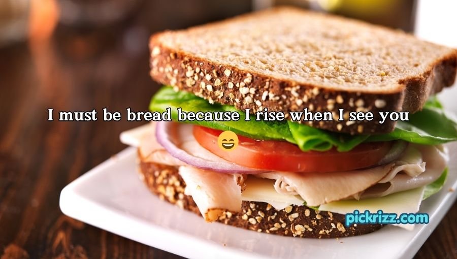 Sandwich Pickup Lines