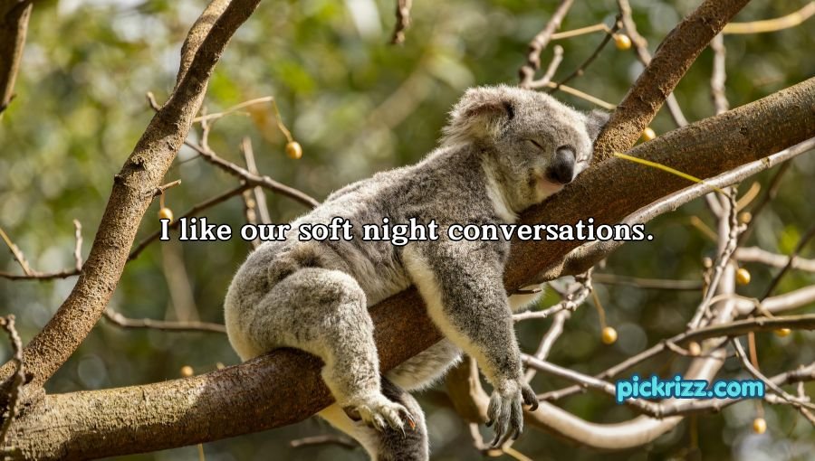 Sleep Rizz Pick Up Lines