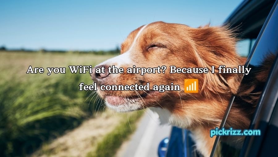 Travel Pick Up Lines