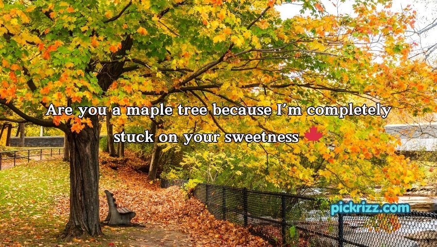 Tree Pick Up Lines