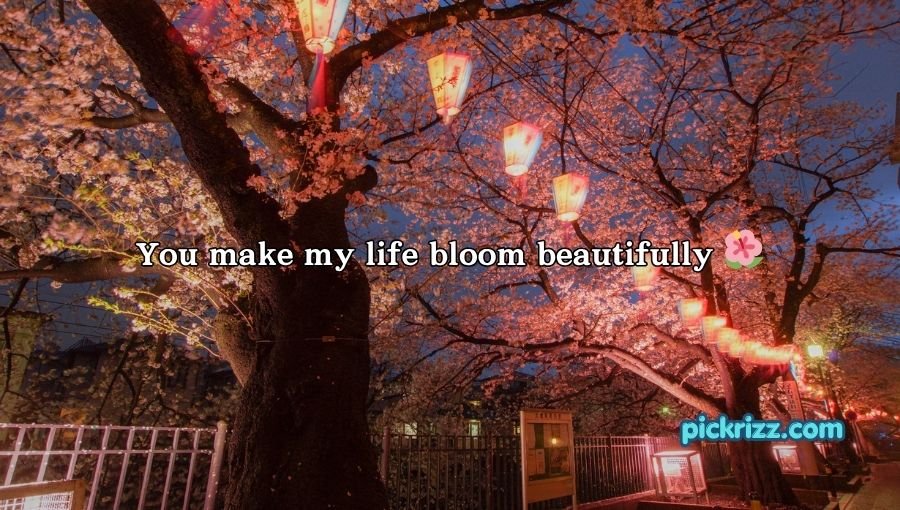 Tree Pick Up Lines