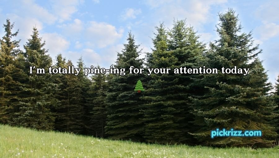 Tree Pick Up Lines