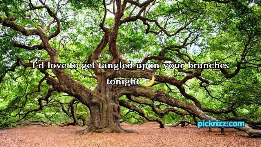 Tree Pick Up Lines