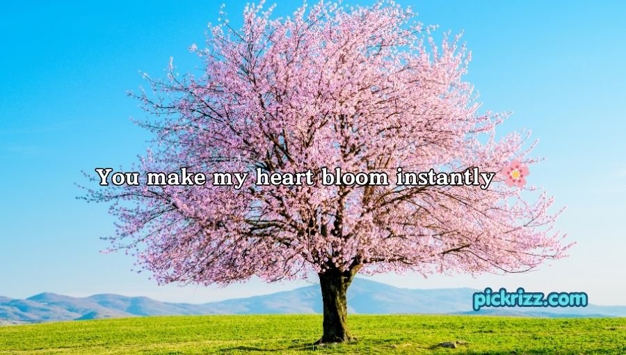 Tree Pick Up Lines