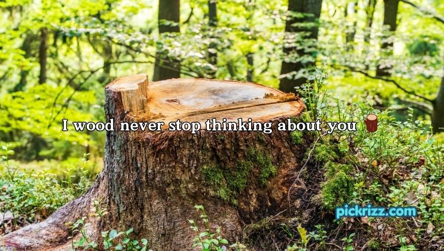 Tree Pick Up Lines