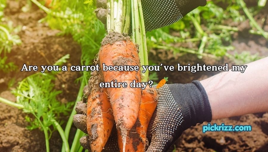 Veggie Pick Up Lines
