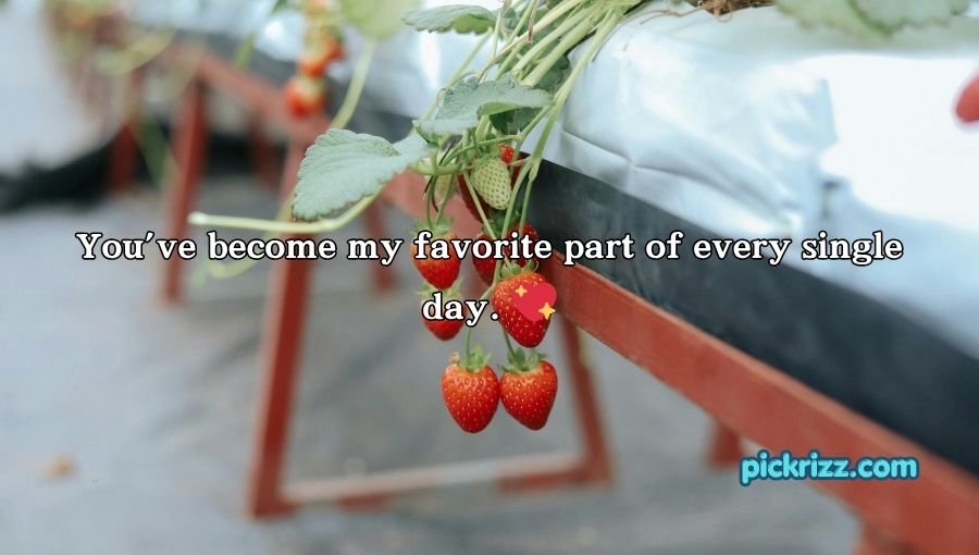 Veggie Pick Up Lines