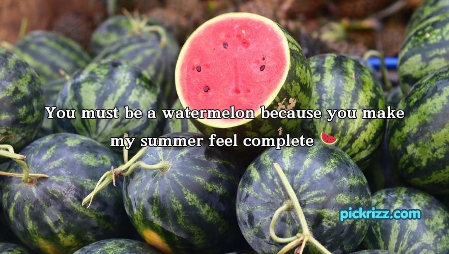Watermelon Pick Up Lines
