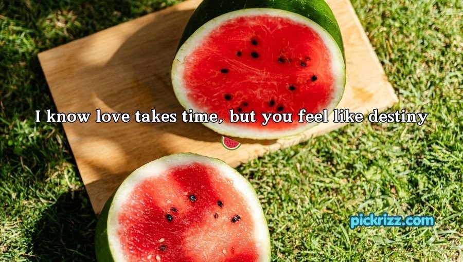 Watermelon Pick Up Lines
