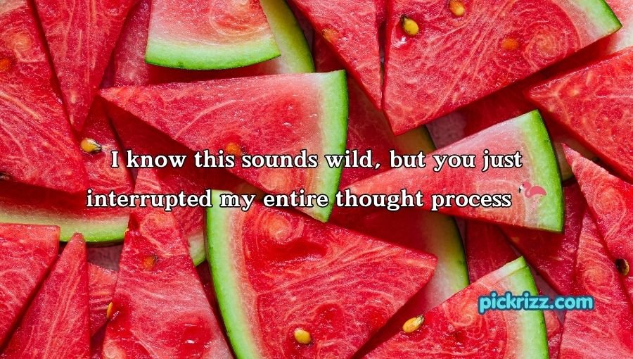 Watermelon Pick Up Lines