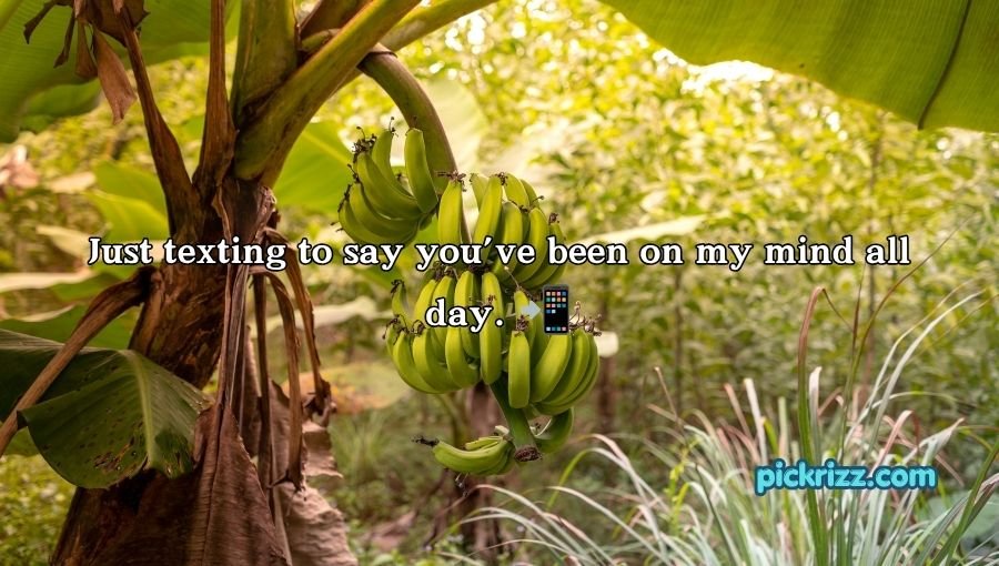 Banana Pickup Lines