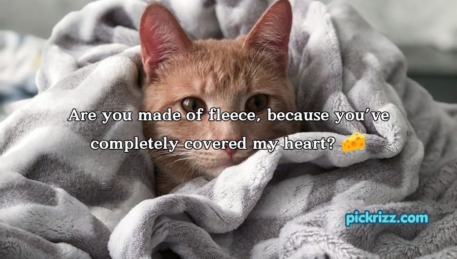 Blanket Pickup Lines