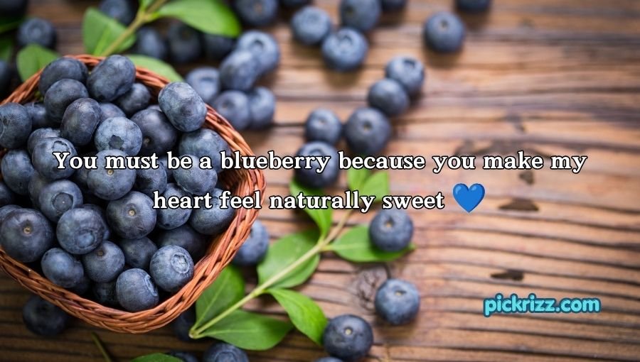 Blueberry Pickup Lines