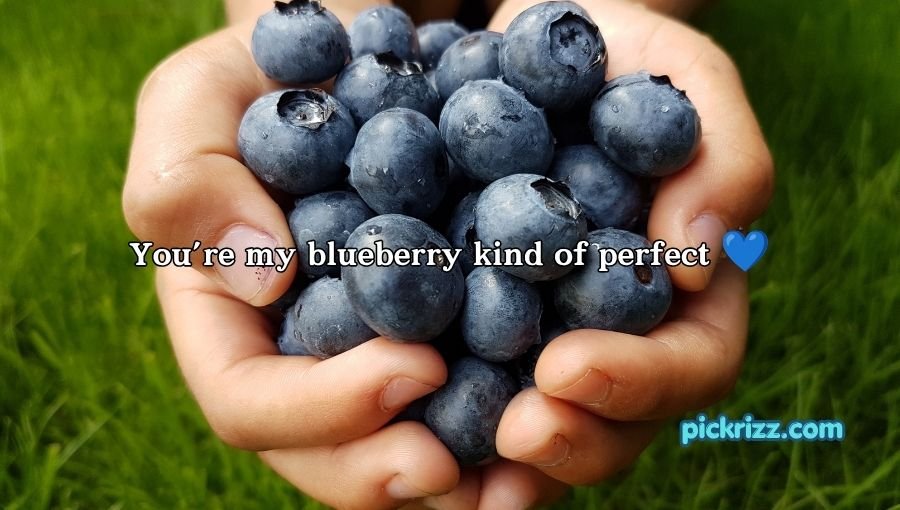 Blueberry Pickup Lines