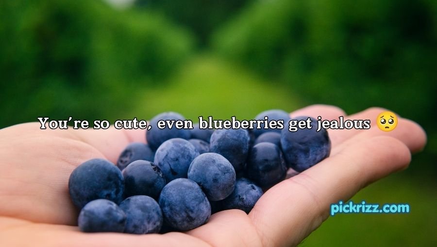 Blueberry Pickup Lines
