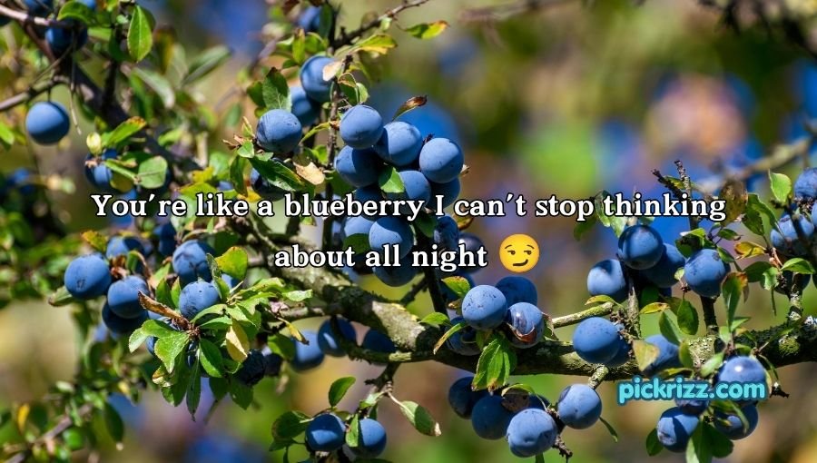 Blueberry Pickup Lines