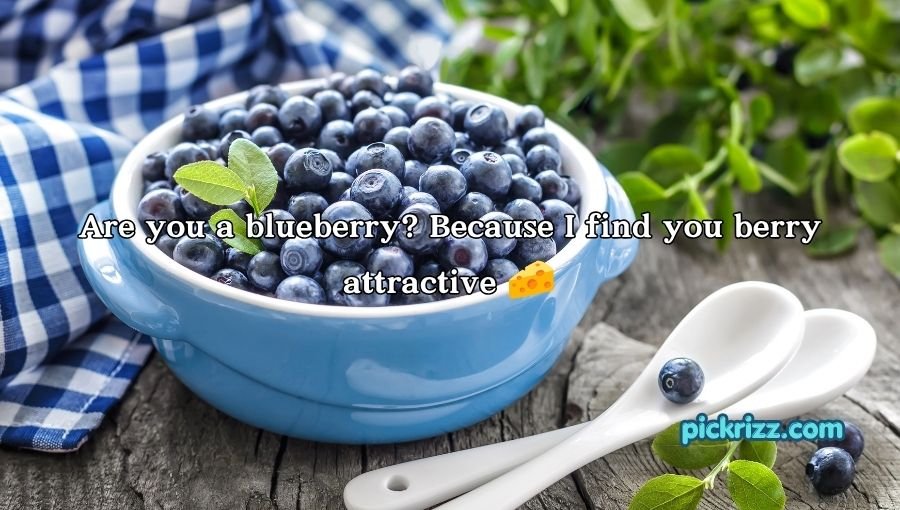 Blueberry Pickup Lines