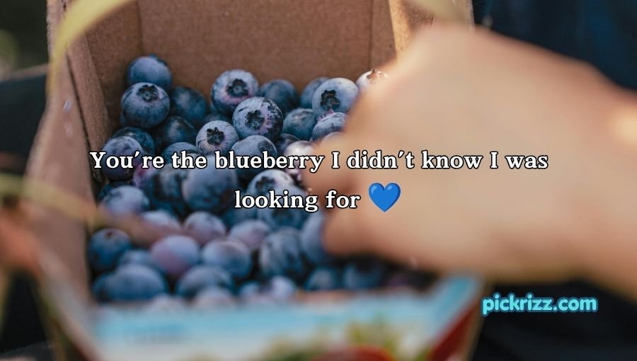 Blueberry Pickup Lines