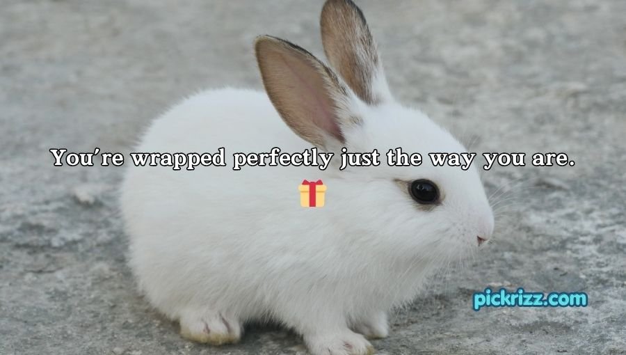 Bunny Pickup Lines