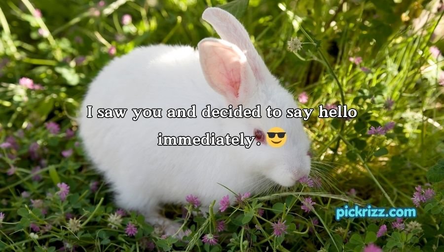 Bunny Pickup Lines