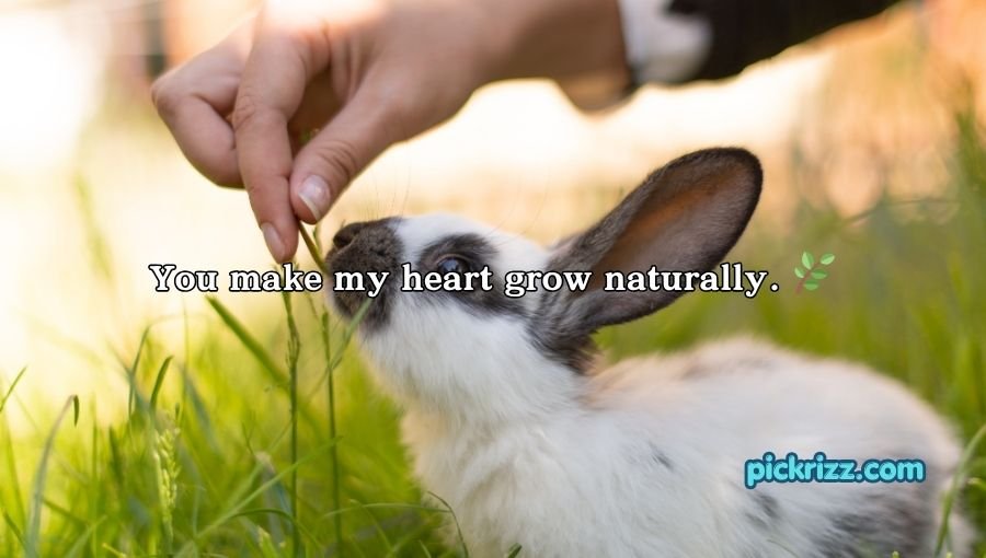 Bunny Pickup Lines