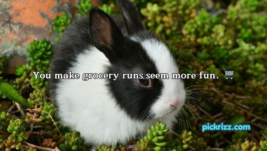 Bunny Pickup Lines